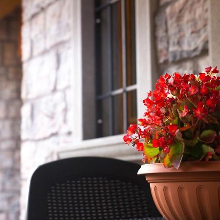 B&B San Pellegrino Terme Zogno ภายนอก รูปภาพ