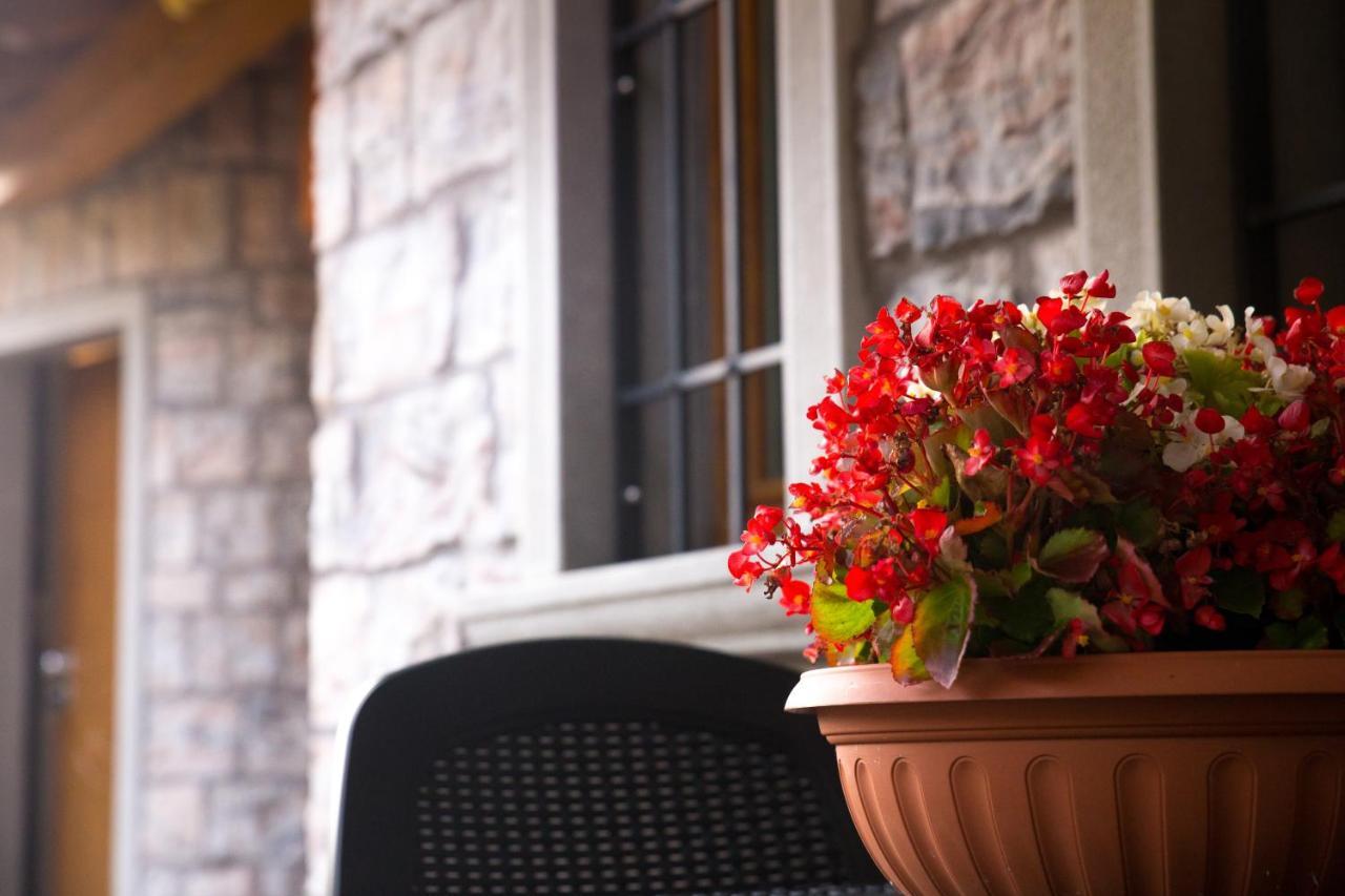 B&B San Pellegrino Terme Zogno ภายนอก รูปภาพ